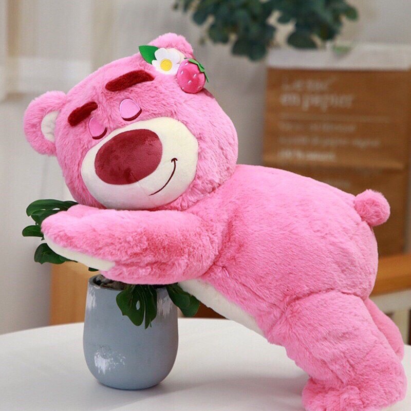 GẤU DÂU LOTSO SIU XỊN MỊN