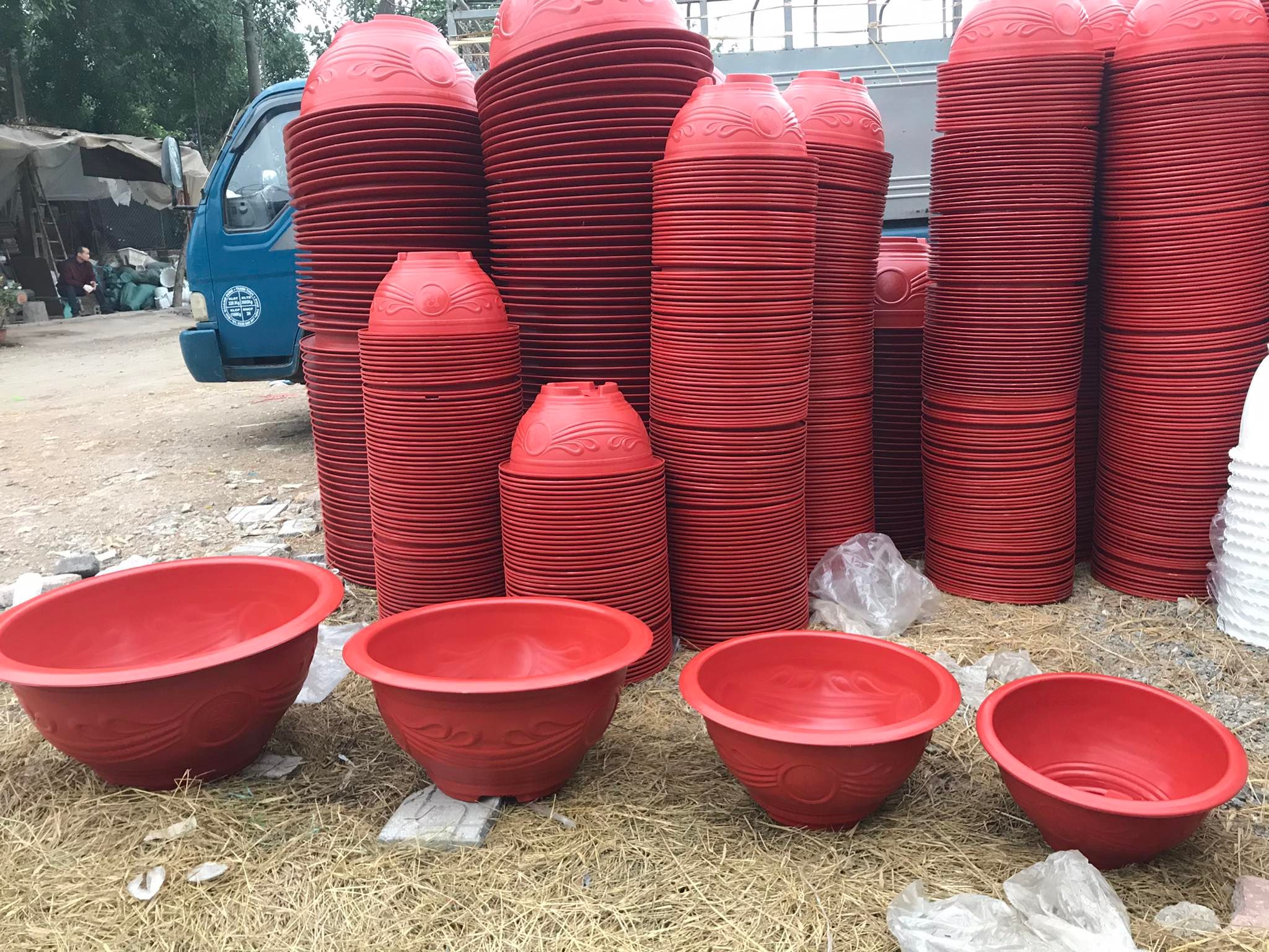10 Chậu Trồng Cây Hoa ,Cây Cảnh Phúc Lộc Thọ T38
