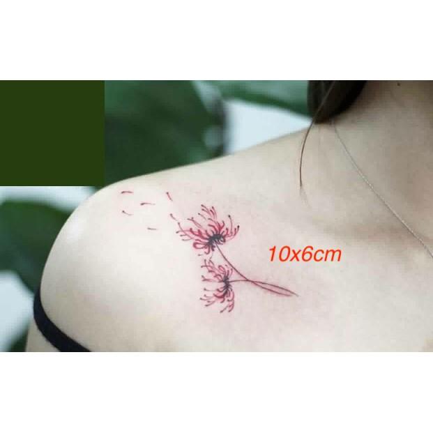 Combo 6 tấm cành hoa bỉ ngạn 10x6cm