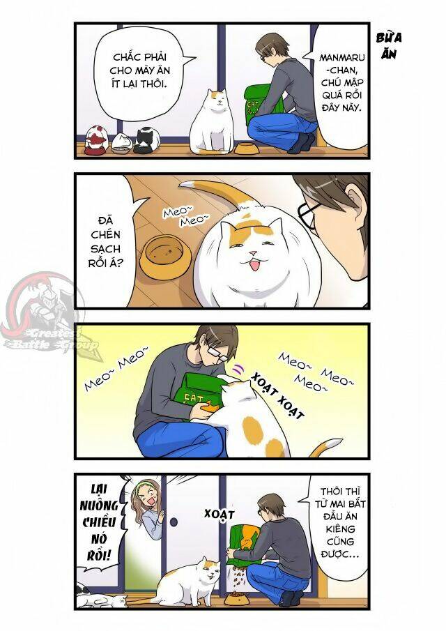 cat is silver vine chapter 3 3