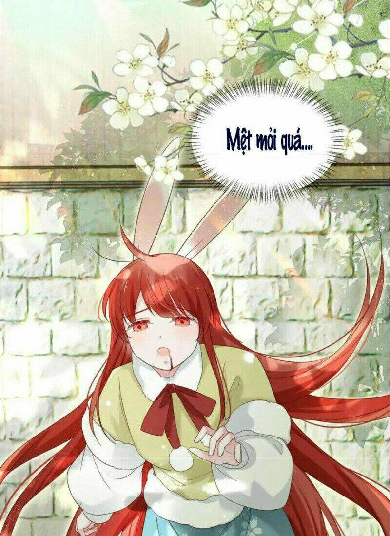 hắc hóa nam chính trực tuyến nuôi thỏ chapter 58 24