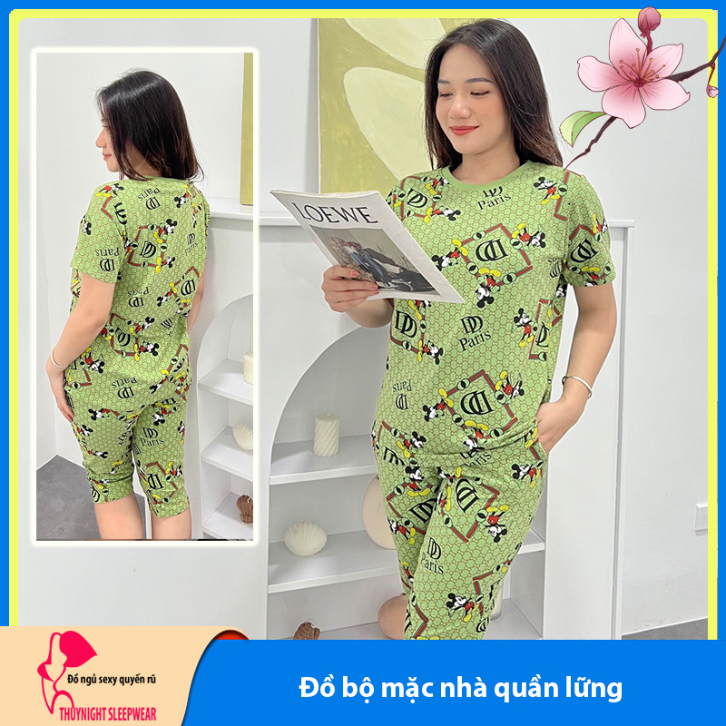 Đồ bộ mặc nhà quần lững LN1 - Đồ ngủ mặc nhà nữ - Đồ bộ nữ lững - Bộ đồ nữ mặc nhà