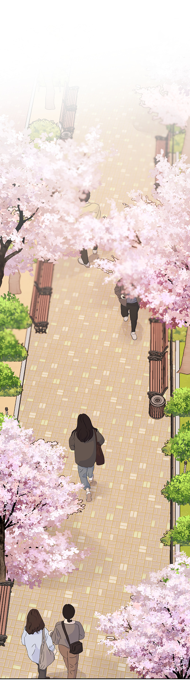 mùa xuân trở lại chapter 2 19