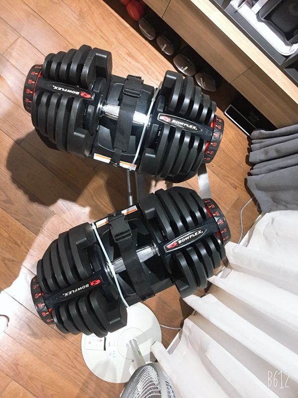 Tạ tay điều chỉnh cao cấp Bowflex 1090