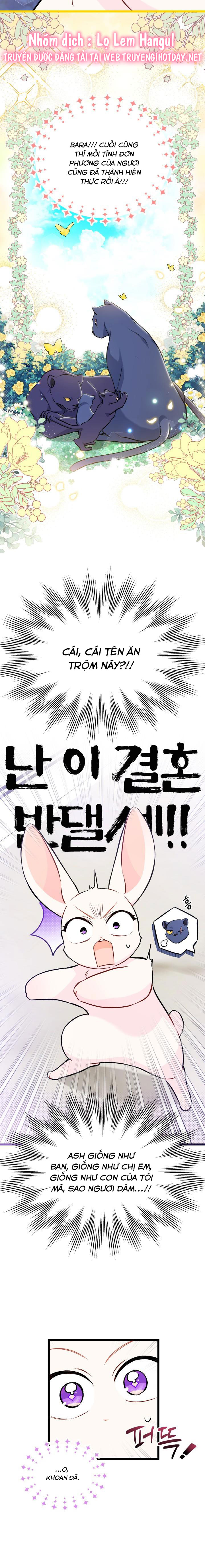 mối liên kết giữa báo đen và bé thỏ chapter 134 9