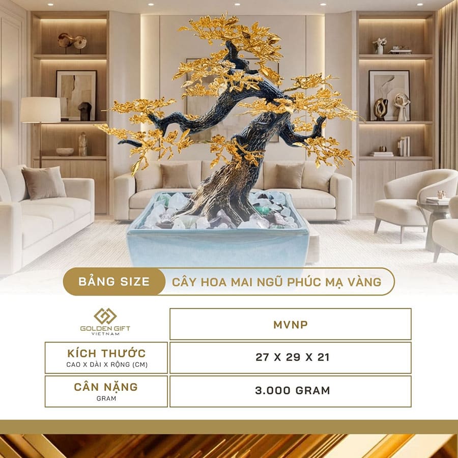 CÂY HOA MAI NGŨ PHÚC MẠ VÀNG