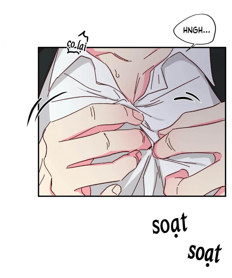 món tráng miệng của sếp tổng chapter 46 46