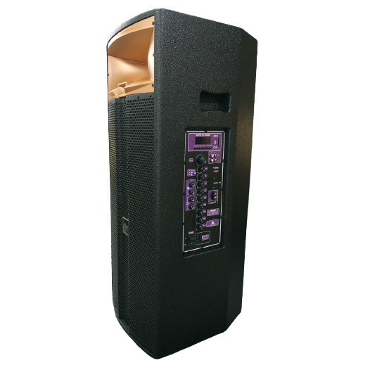 Loa Kéo Di Động Karaoke 2 Bass Đôi 30 AAR - LX1200W (2 x 3 Tấc) - Màu Ngẫu Nhiên - Hàng Chính Hãng