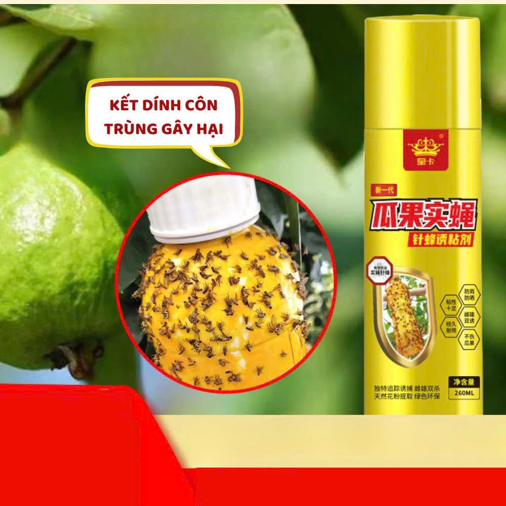 Chai Keo Xịt Bẫy Ruồi Vàng Đài Loan260ml – Bắt Ruồi Đực, Cái Hiệu Quả, Bám Dính Chắc, Tác Dụng Lâu Tới 60 Ngày - HÀNG CHÍNH HÃNG MINIIN