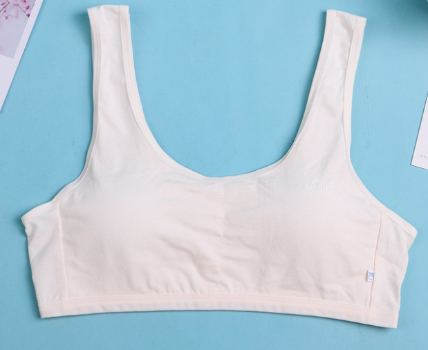 Bra / Áo Lá Nữ Sinh Cotton Tinh Khiết MILK Xuất Đông Hàng Loại Đẹp.