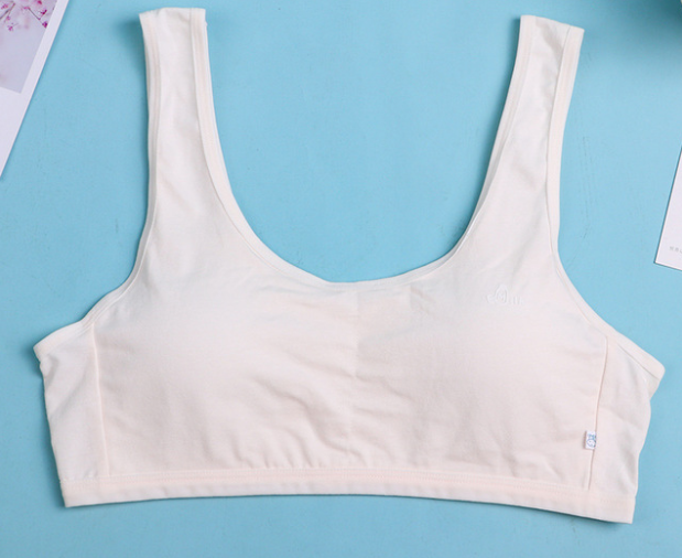 Hình ảnh Bra / Áo Lá Nữ Sinh Cotton Tinh Khiết MILK Xuất Đông ( AL : 212 ) Hàng Loại Đẹp.