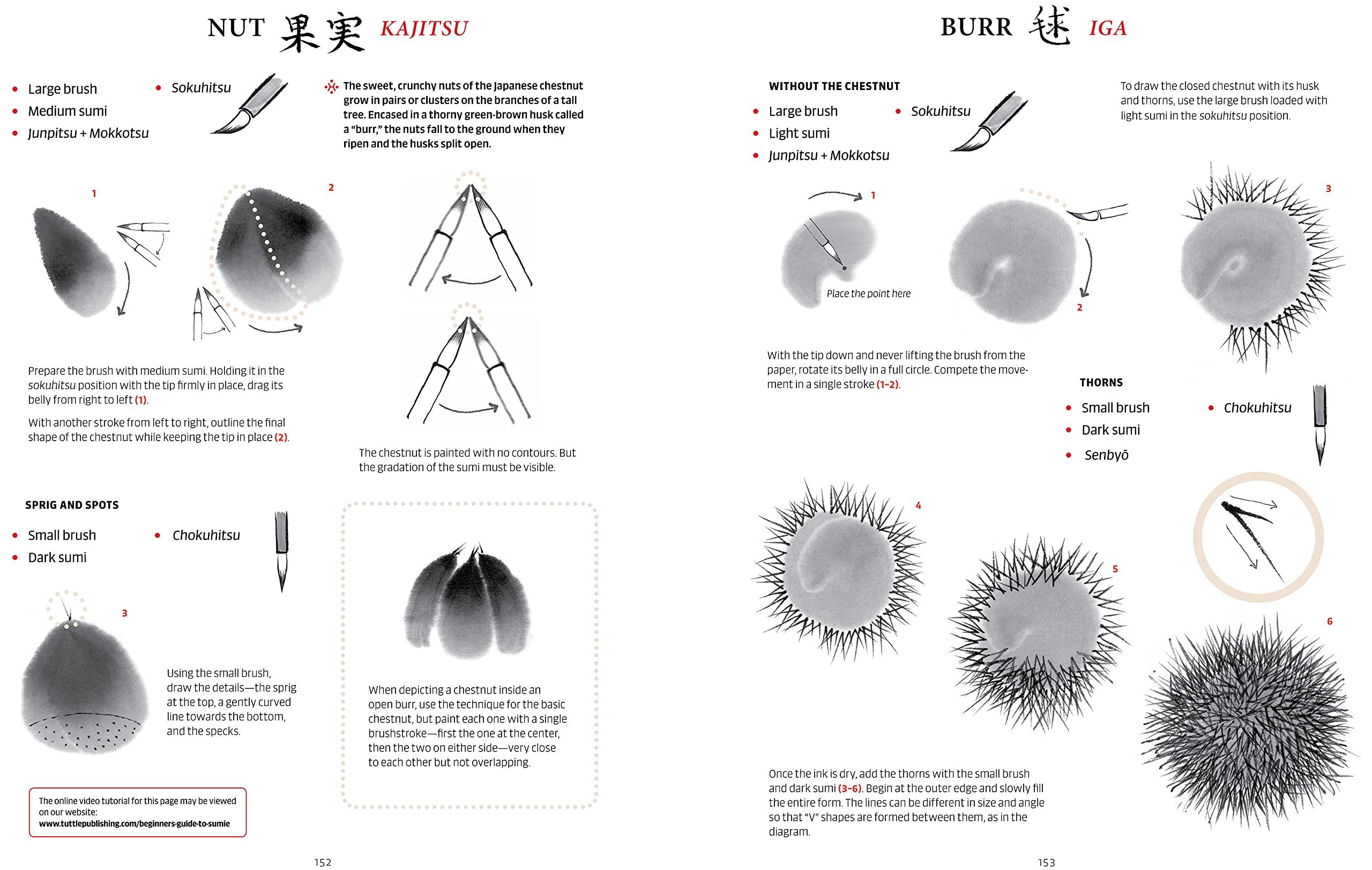 A Beginner's Guide To Sumi-e: Learn Japanese Ink Painting From A Modern Master (Online Video Tutorials)