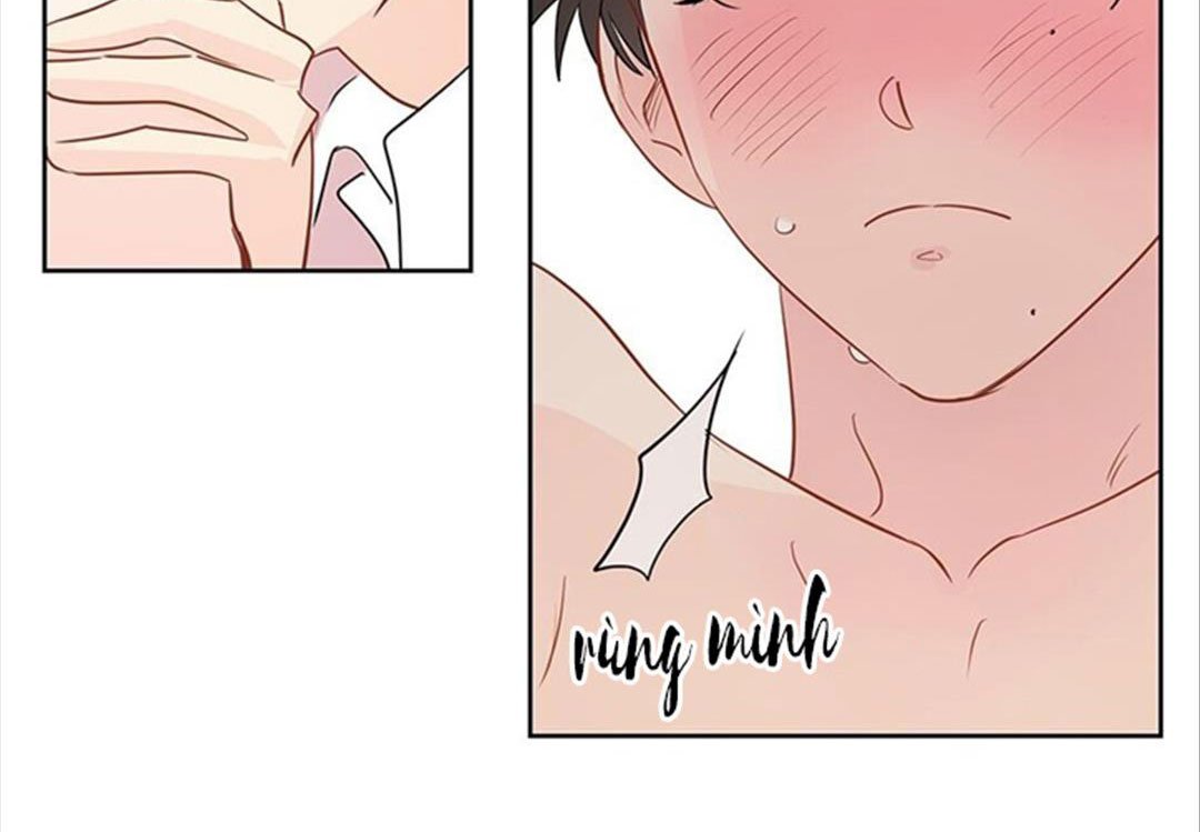 chuyện quái gì với giấc mơ đó vậy chapter 37 19