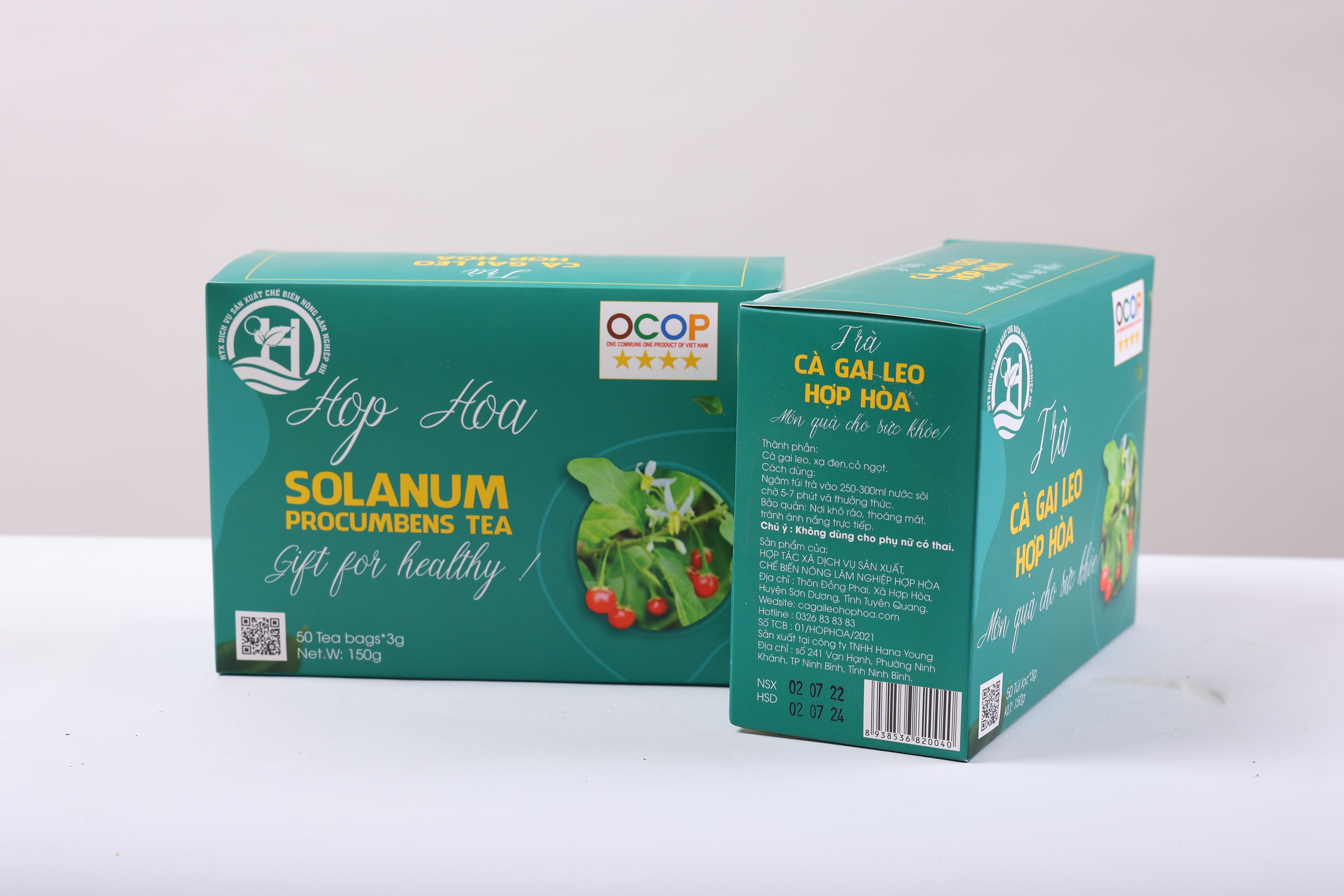 Trà Cà Gai Leo Hợp Hòa - Cà gai leo+Xạ đen+Cỏ Ngọt - 50 túi lọc - OCOP 4 Sao