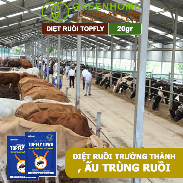 Thuốc Diệt Ruồi Greenhome, Topfly 10wg, Gói 20gr, Thu Hút Mạnh, Diệt Ruồi Nhanh, Hiệu Quả, An Toàn, Tiết Kiệm