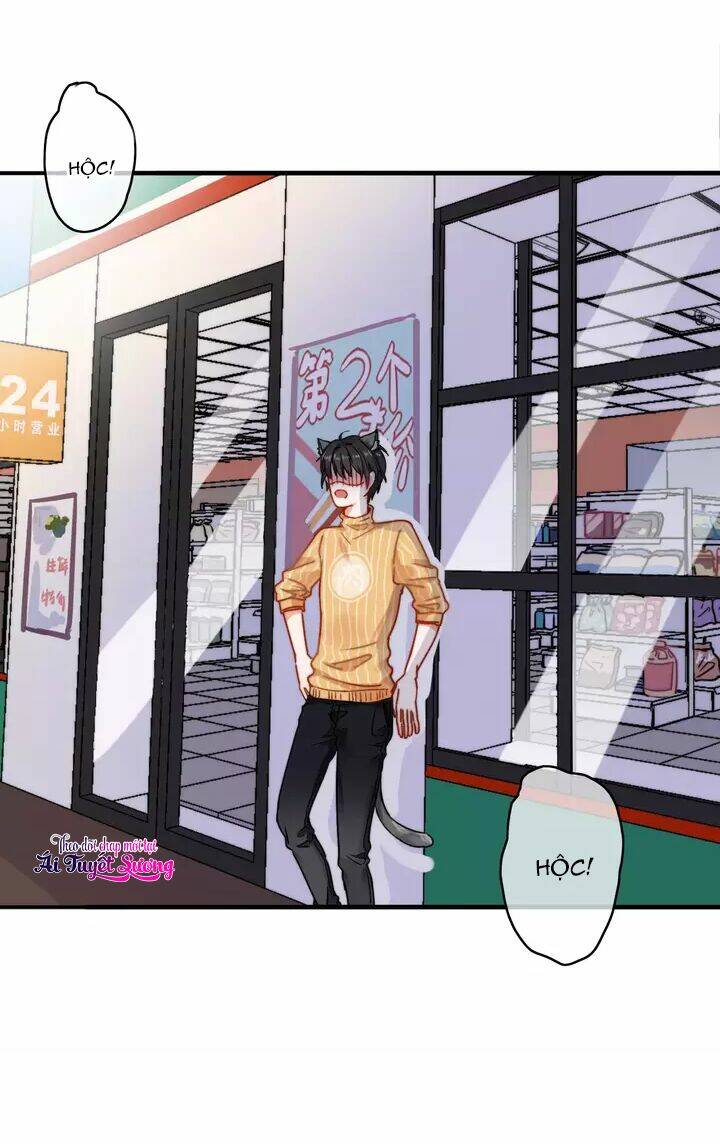 thập quang mật ngữ chapter 11.5 34