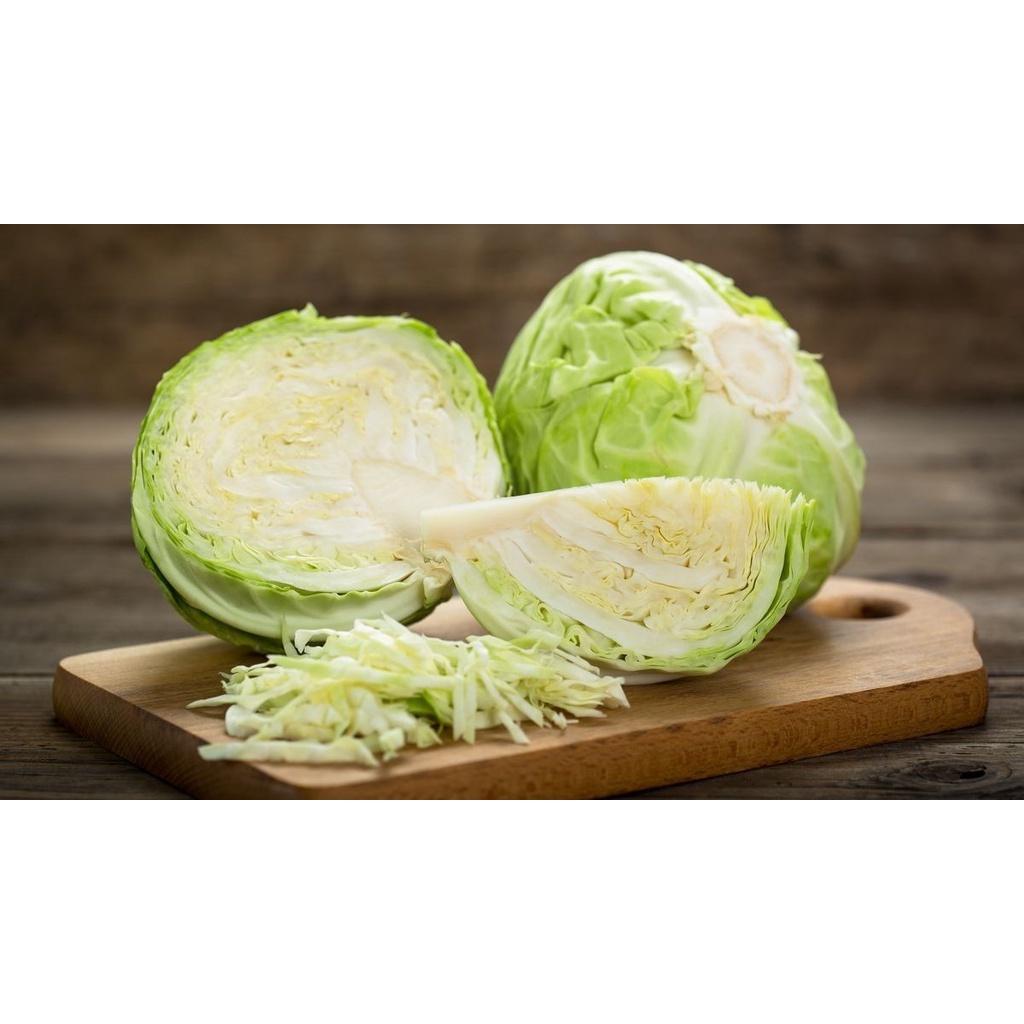 Hạt giống Bắp Cải F1 gói 1gram