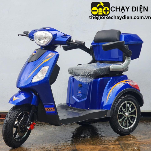 XE MÁY ĐIỆN 3 BÁNH CÓ CỐP SAU