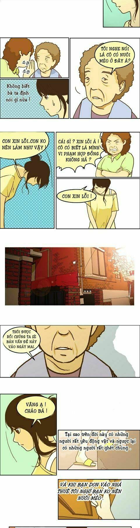 papi nyang chapter 11 8