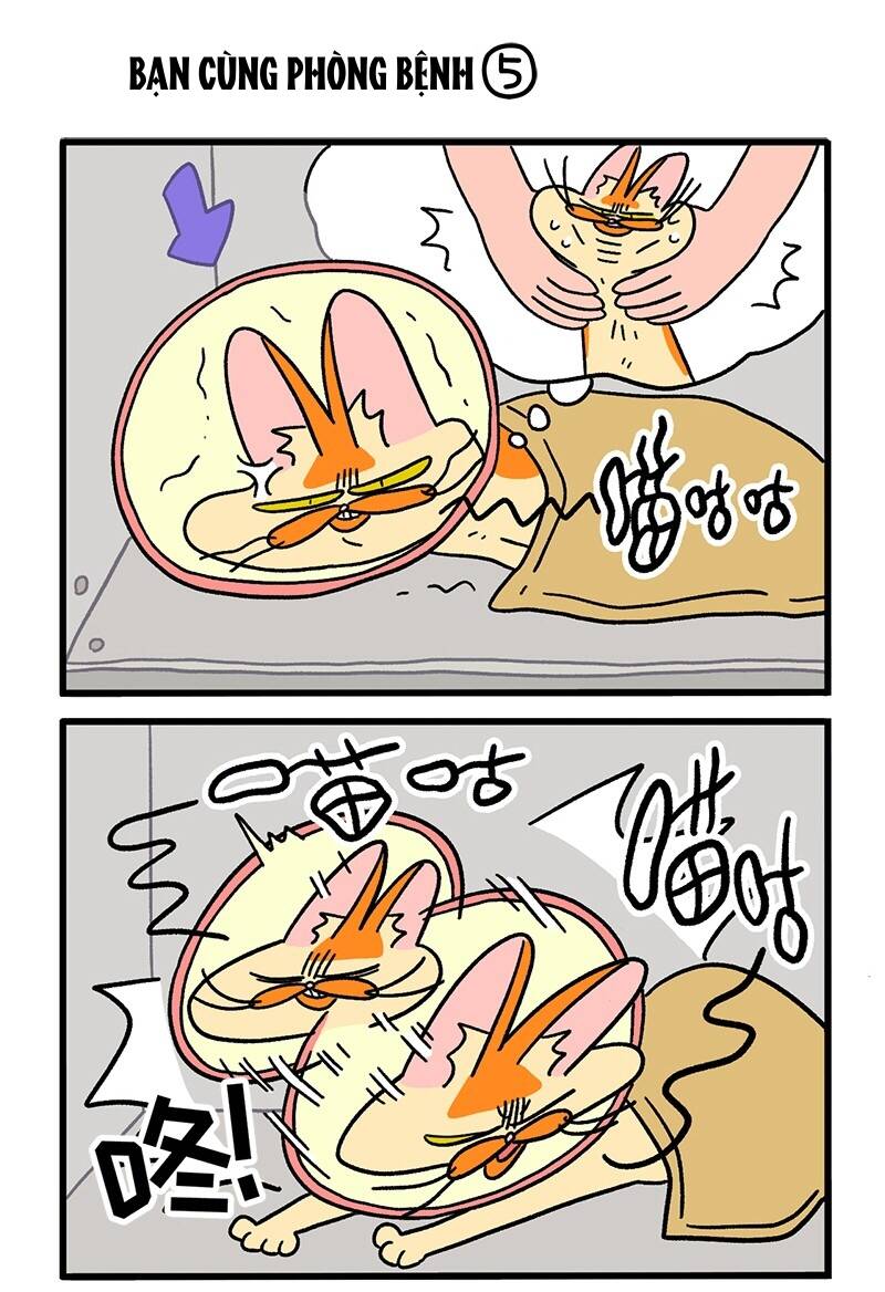 a mãn và mạch trà chapter 18.2 3