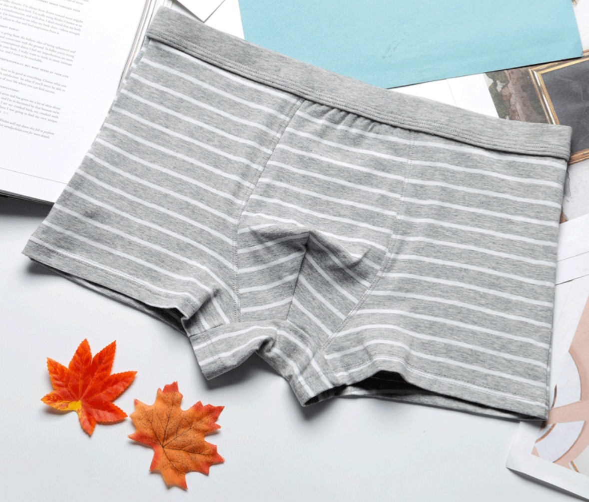 COMBO 4 quần lót nam cao cấp chất cotton kẻ ngang trẻ trung QA389
