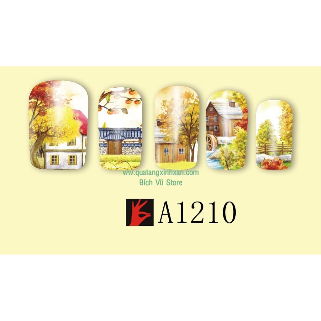 Decal nước dán móng mã A