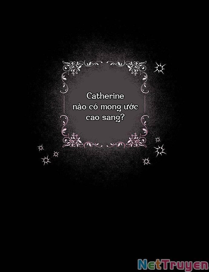 cuộc sống giản dị của người độc thân bị bỏ rơi chapter 1 8