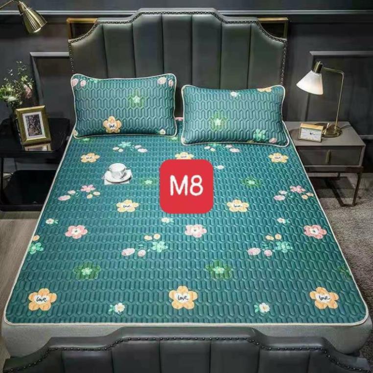 Chiếu điều hòa cao su non 2D