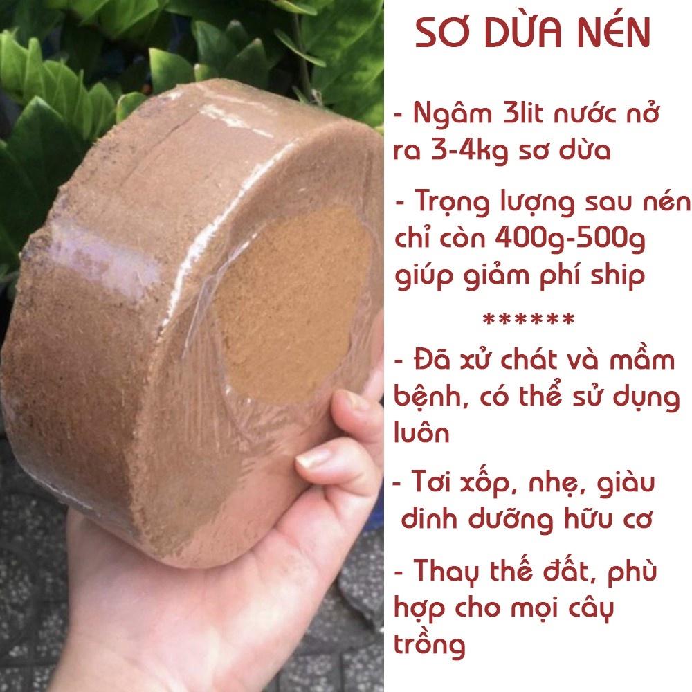 Đất sạch trồng cây, viên nén mùn xơ dừa thích hợp trồng cây, giá thể, cải tạo đất trồng rau củ quả cây cảnh bánh 450gr