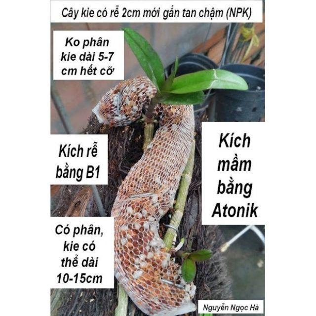 1kg PHÂN TAN CHẬM 13-11-11-ME NHẬT BẢN
