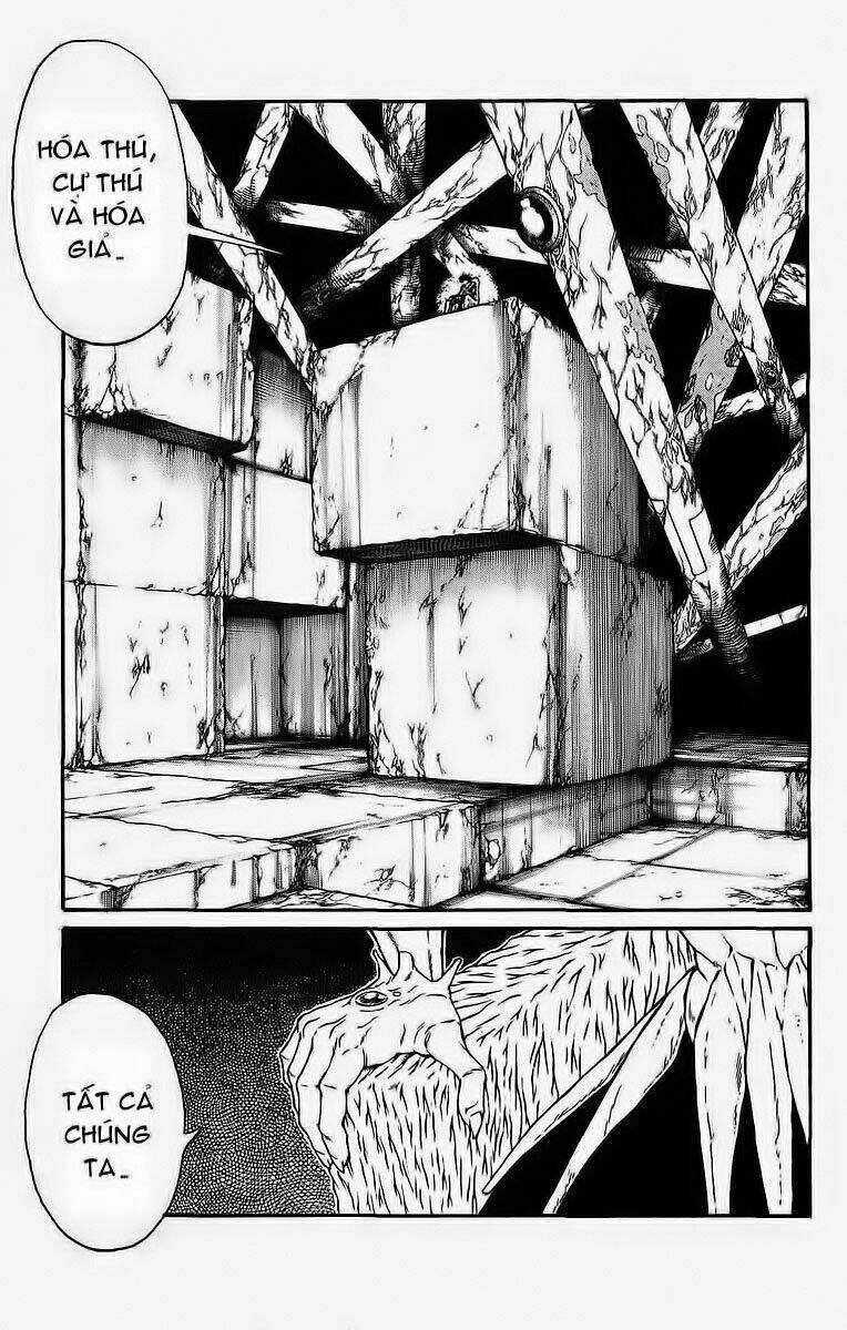 vua trên biển chapter 233 10