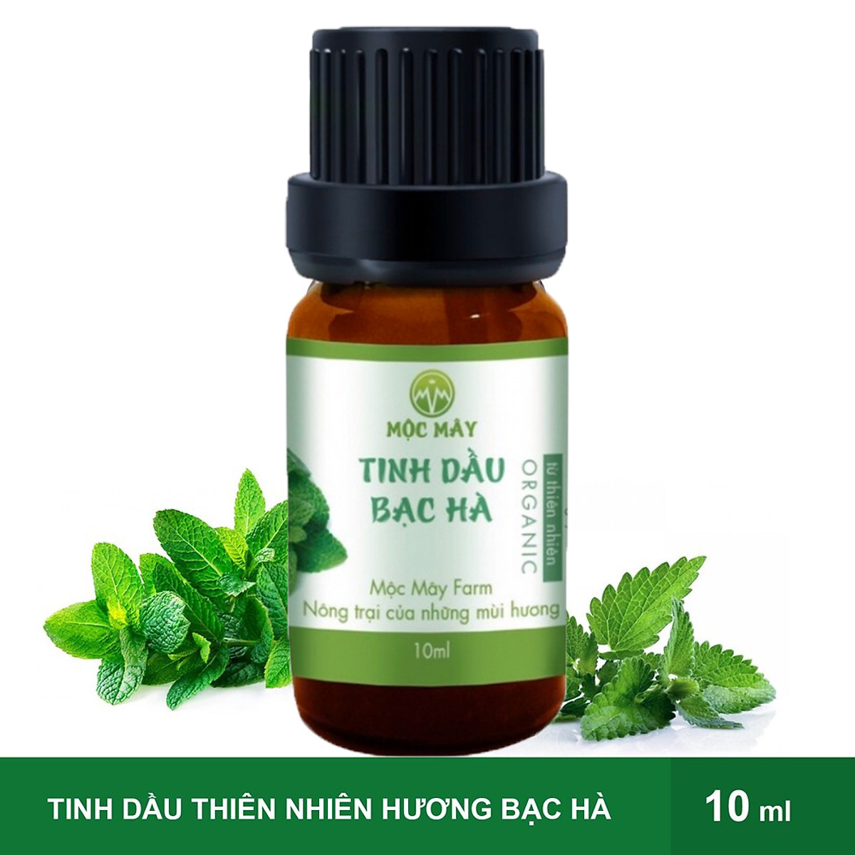 Combo 2 chai Tinh dầu thiên nhiên Mộc Mây: Tinh Dầu Sả Chanh Lemongrass 10ml+Tinh dầu Bạc Hà 10ml