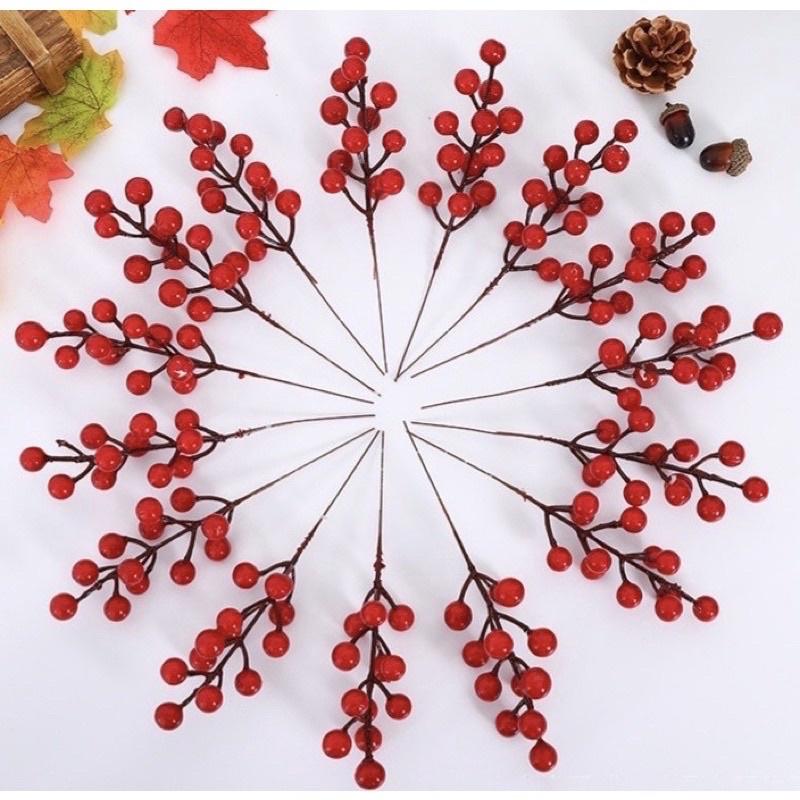 Chùm quả đỏ bóng trang trí