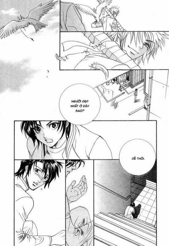 innocent bird chapter 13 47