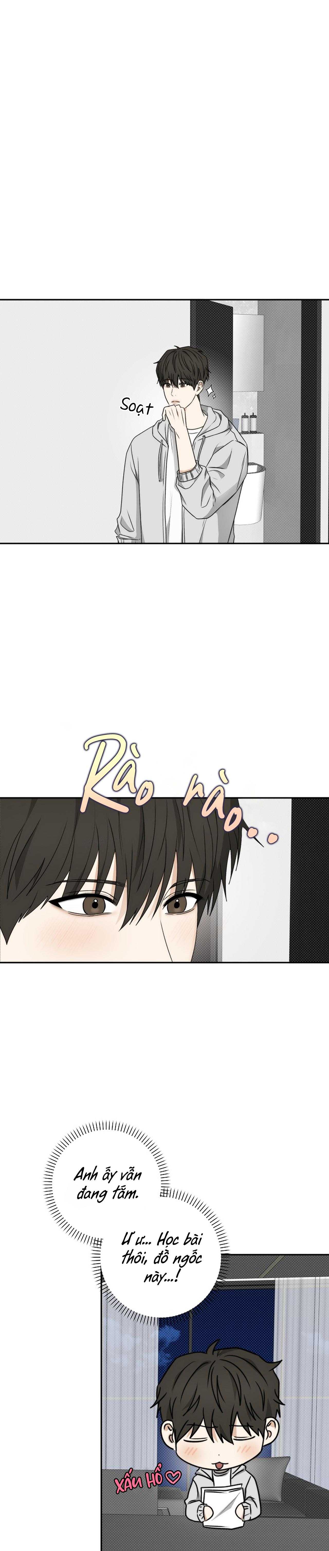 những nàng công chúa bị nguyền rủa chapter 31 6