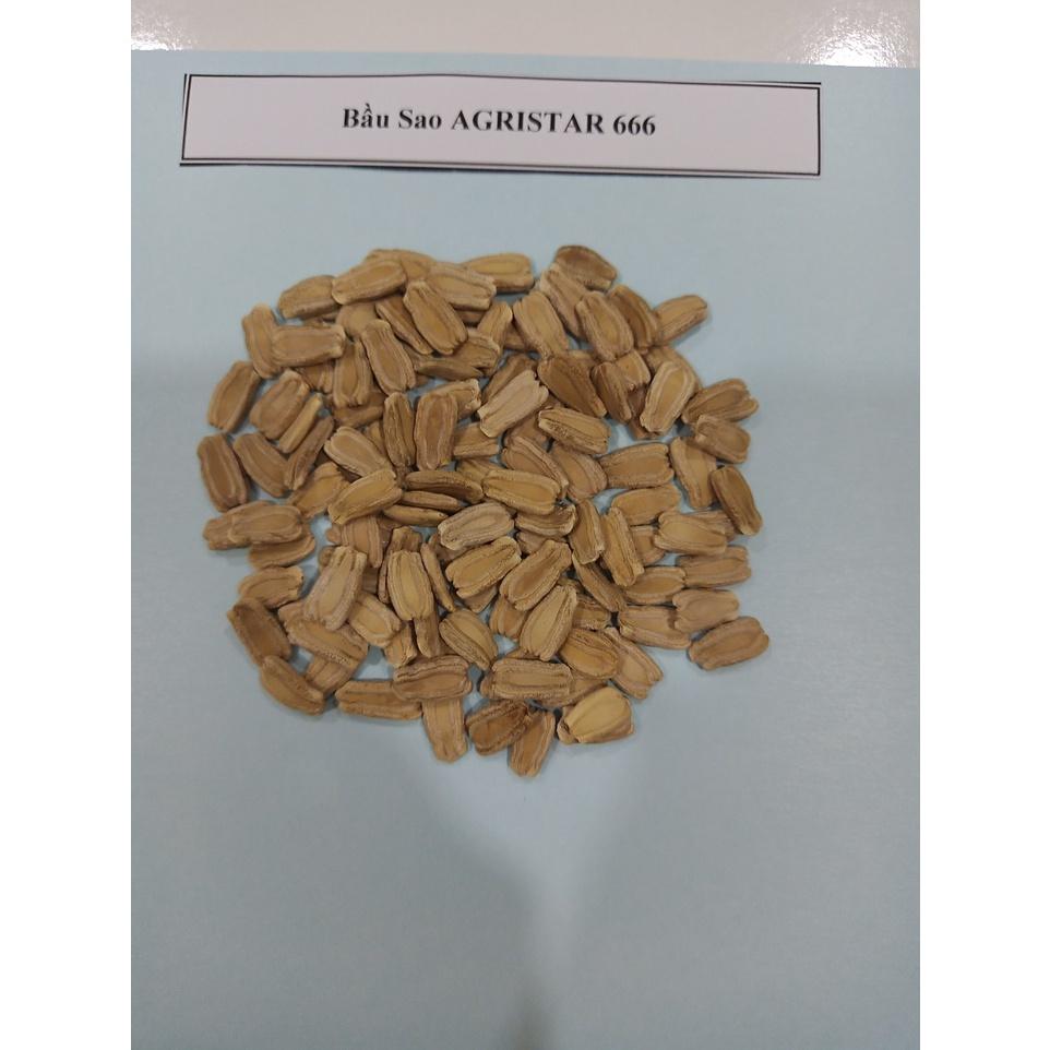Hạt Giống Bầu Sao ẤN ĐỘ Agristar 666