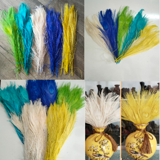 Lông Công Màu TRẮNG,VÀNG, XANH trang trí 25cm 30cm-lông Khổng tước chiêu tài,trang trí