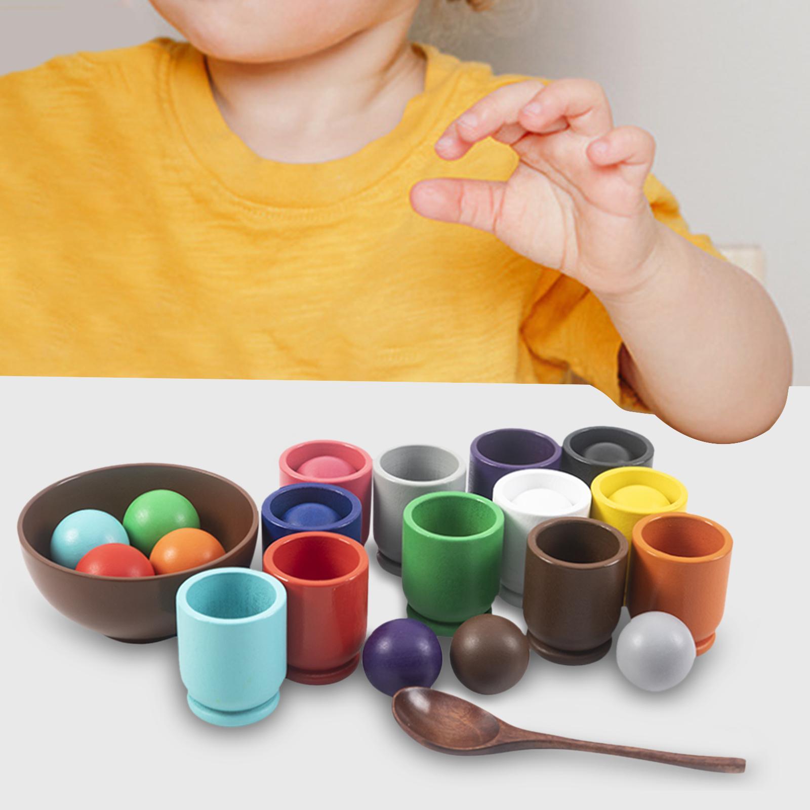 Matching Sorting Balls in Cups Color Sorting Game Board Game for Kids Baby