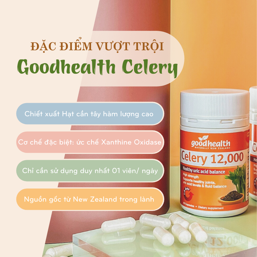 Viên uống hạt cần tây hỗ trợ điều trị Gout Goodhealth Celery 12000 hộp 60 viên