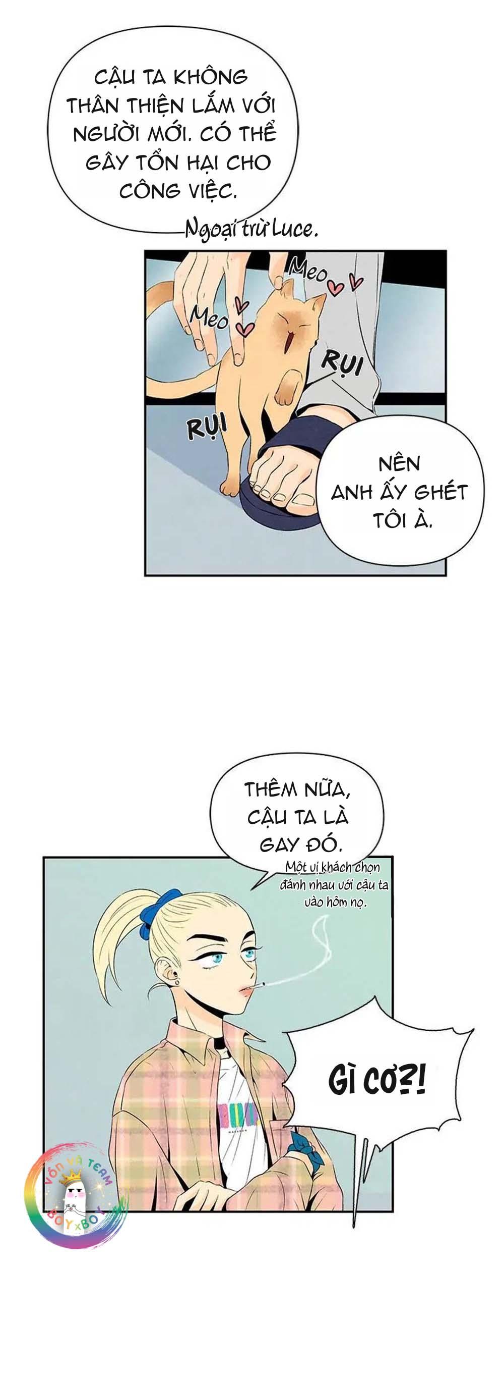 bona sort chapter 6 31