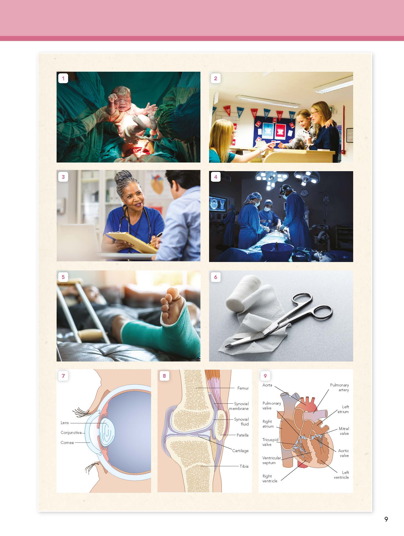 English for Medicine in Higher Education Studies - Course Book