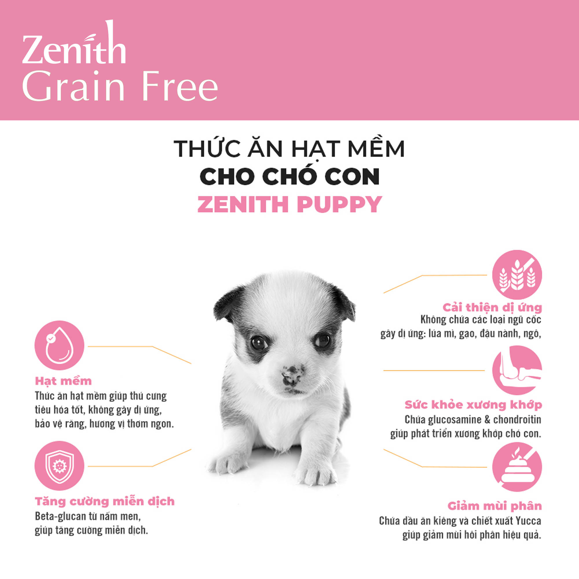 Thức ăn hạt mềm cho chó con Zenith Puppy | Không ngũ cốc | Hỗ trợ miễn dịch | Phát triển xương khớp chắc khoẻ