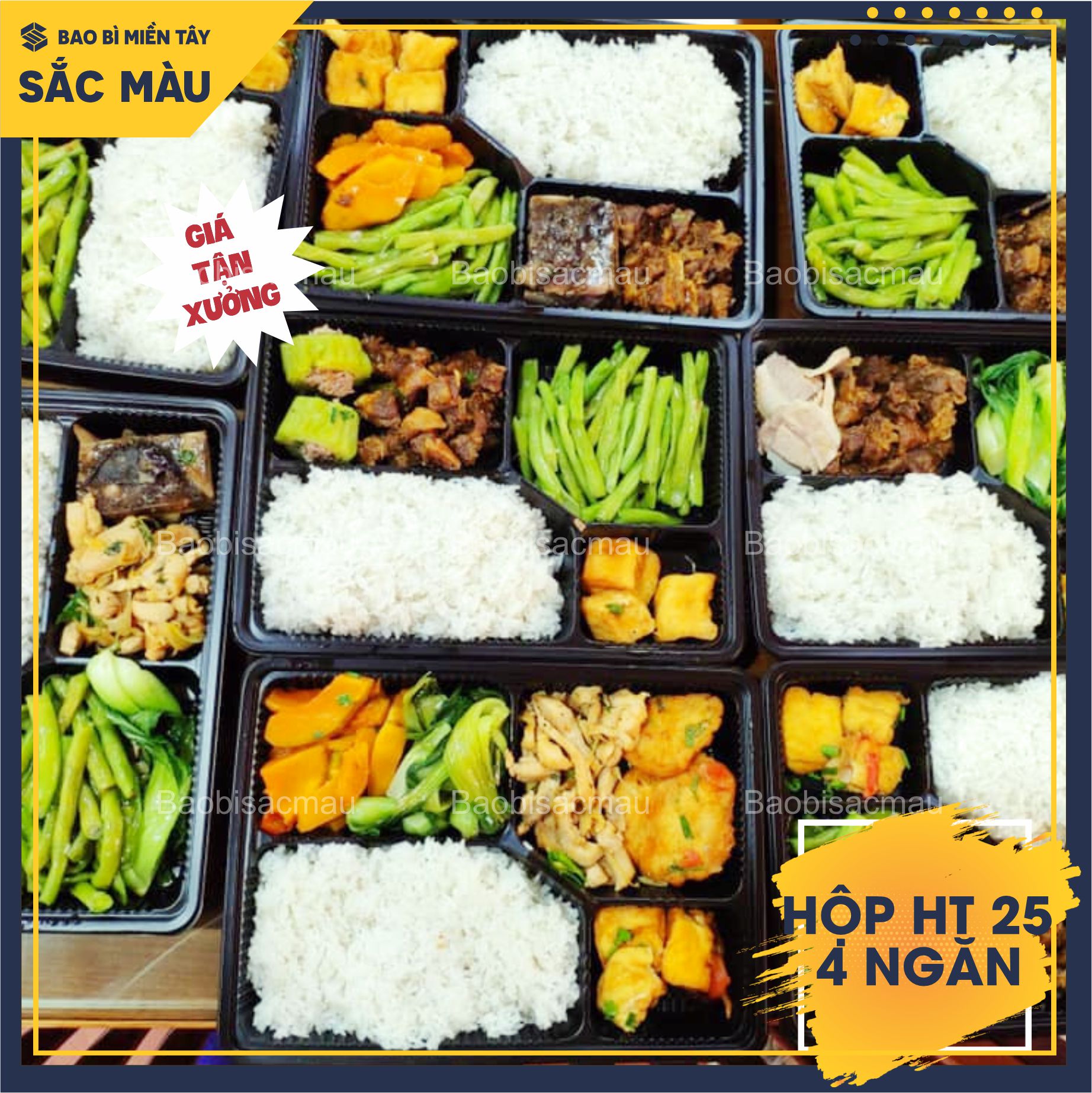 Sét 20 Hộp nhựa đế đen, nắp trong HT25 4 ngăn đựng cơm, đựng thức ăn, thực phẩm...