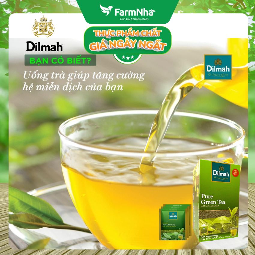 Trà Dilmah All Natural Green Tea Pure Green túi lọc 30g 20 túi x 1,5gr - Đóng gói riêng từng túi giữ hương vị tuyệt vời