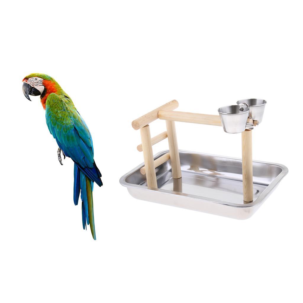 Bird Play Stand Cockatiel Playground Perch Gym with Parrot Swing Toy