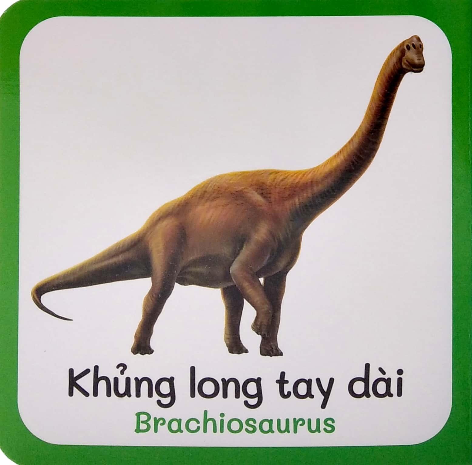 Từ Điển Bằng Hình Đầu Tiên Của Bé - Baby'S First Picture Dictionary - Dinosaurs - Khủng Long