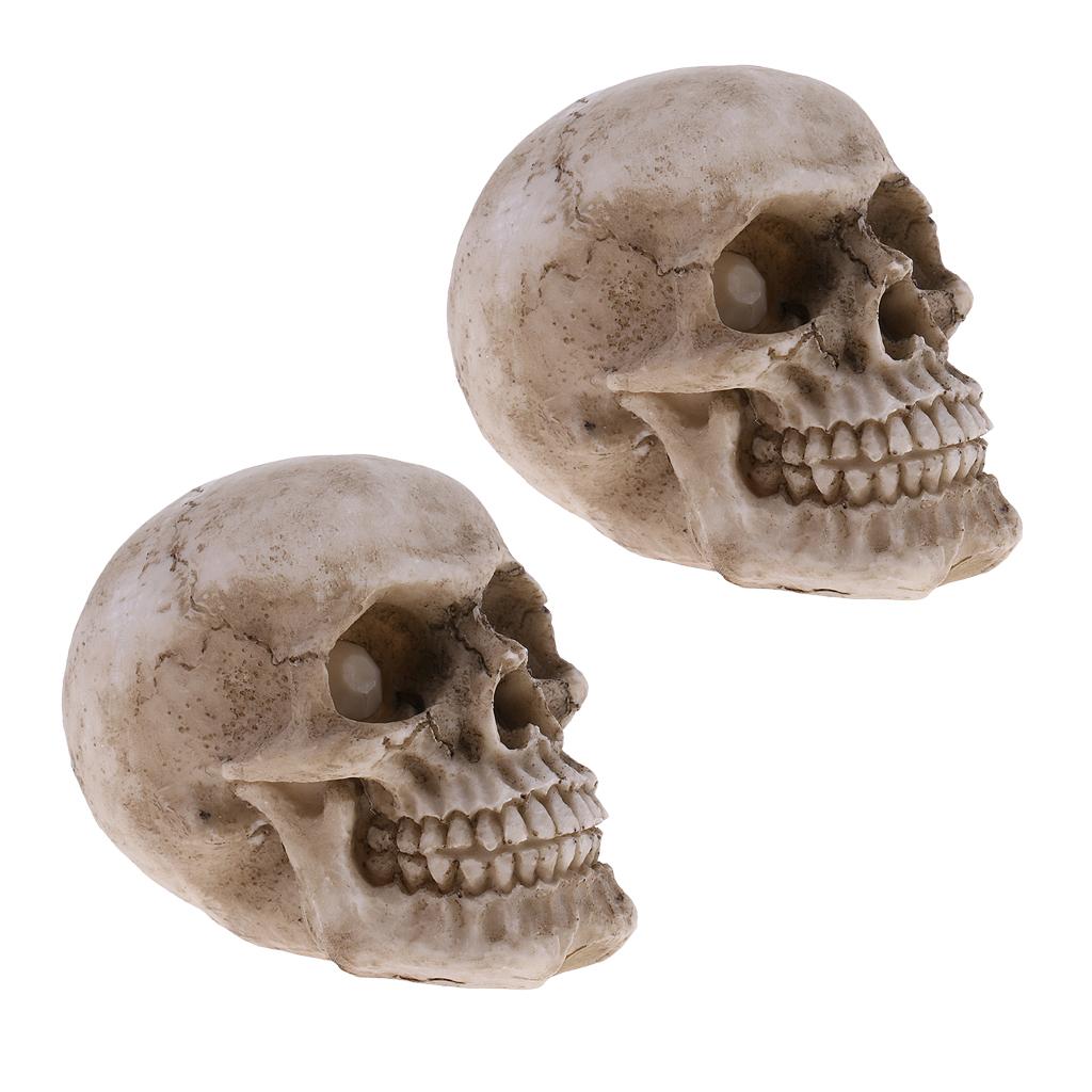 Mô Hình Nhựa Sọ Người Size Nhỏ Halloween Đầu Lâu In Hình Hoa Lá Cho Trẻ Em Quà Tặng