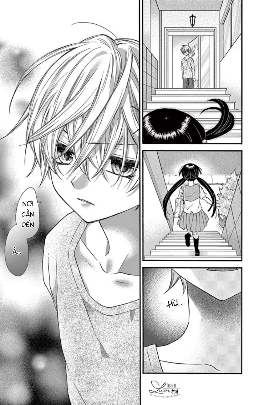 chàng rể giả nhân giả nghĩa chapter 19 26