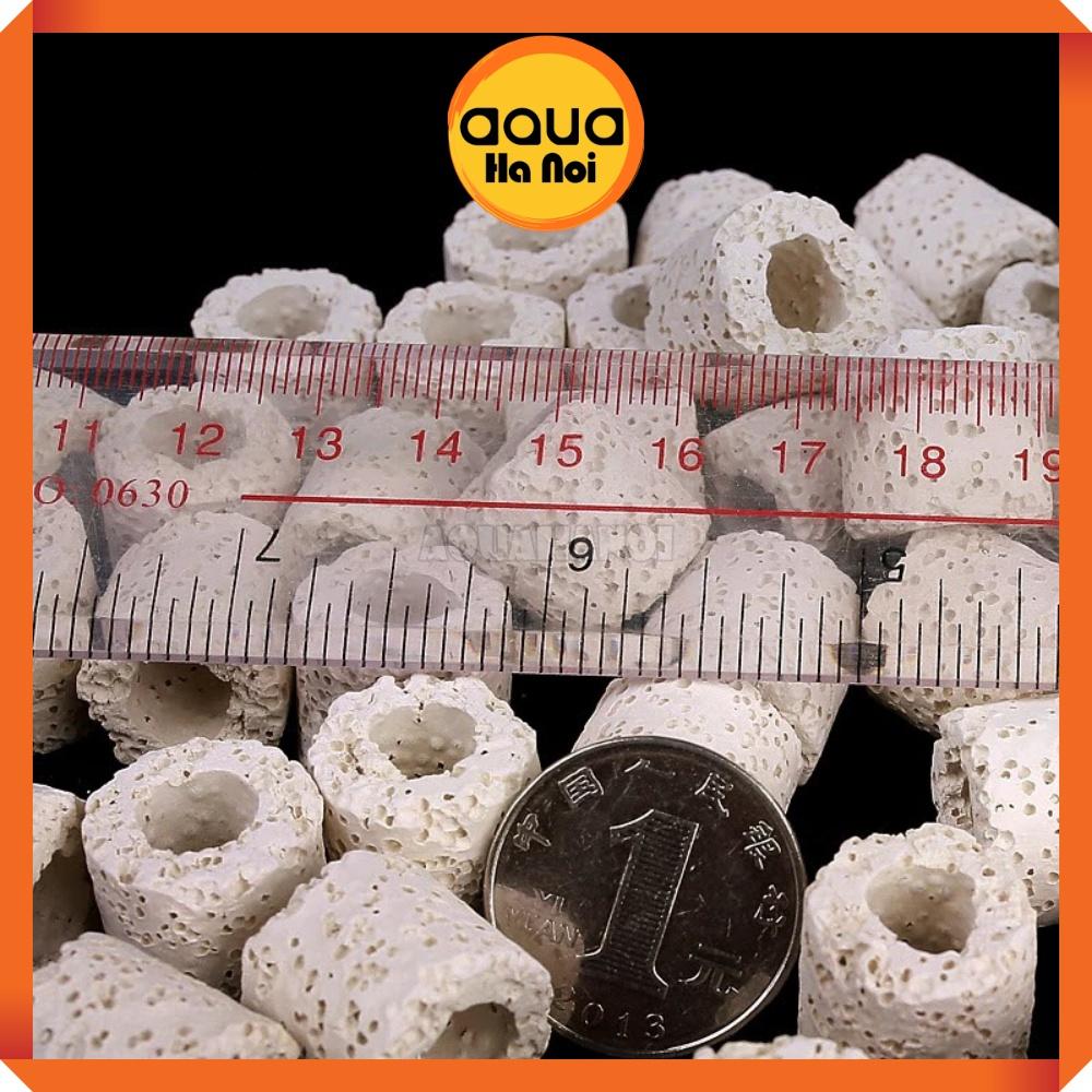 Sứ trụ trắng - Vật liệu lọc làm trong nước hồ cá Koi, cá rồng, thủy sinh - 100g/500g