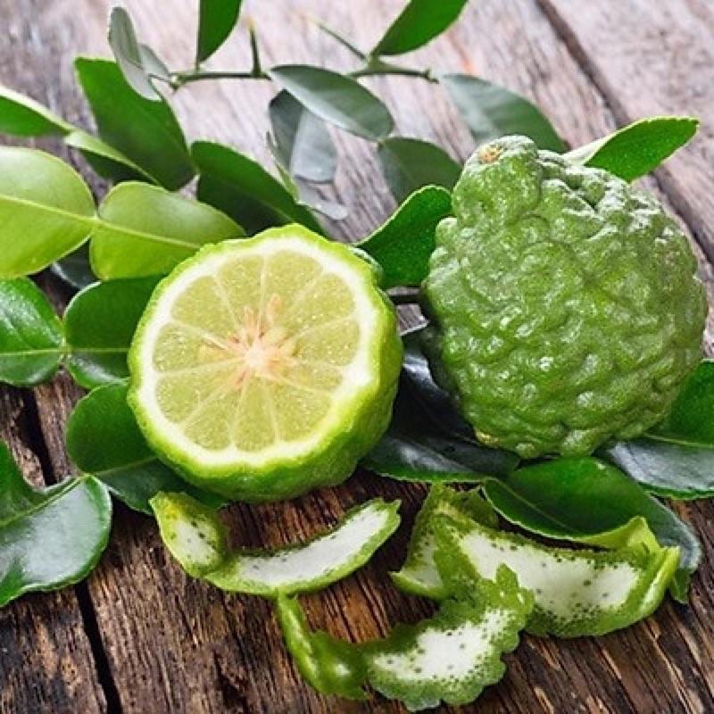 Cây giống chanh chúc, chanh thái cây ươm từ hạt